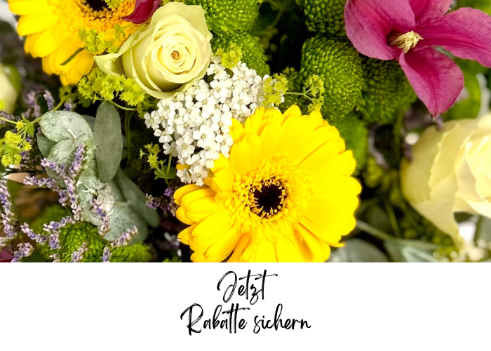 BLUME IDEAL Rabattcode - Juli 2024: Spare bis zu 10% direkt bei uns